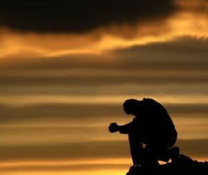 A Vow of Disobedience