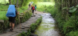Camino 6