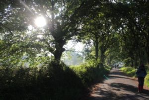Camino 1