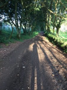 Camino 4