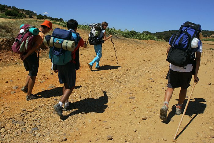 Walk the Camino this summer