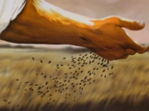 Matthew 13, Gospel of Matthew, Gospel reflection, Fr Martin McNamara MSC, Missionaries of the Sacred Heart, MSC Missions, Catholic Mass, A sower went forth to sow