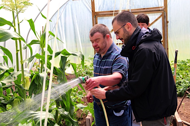 MSC Missions, Missionaries of the Sacred Heart, MSC Vocations, L'Arche Cork, L'Arche Le Cheile, pastoral work, volunteer work, religious life, missionary priesthood, vocation to priesthood, missionary novitiate, Br Giacomo Gelardi MSC