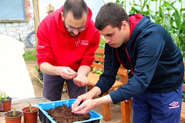 MSC Missions, Missionaries of the Sacred Heart, MSC Vocations, L'Arche Cork, L'Arche Le Cheile, pastoral work, volunteer work, religious life, missionary priesthood, vocation to priesthood, missionary novitiate, Br Giacomo Gelardi MSC