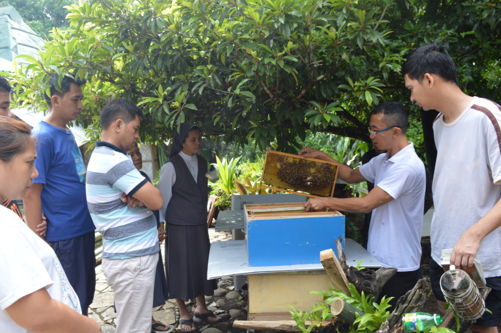 Sustainable Living MSC Beekeeping Livelihood Programme in the