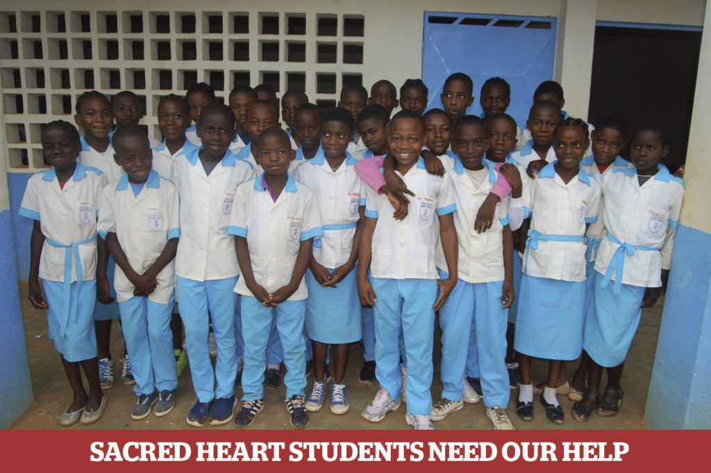 MSC Missions, Missionaries of the Sacred Heart, MSC Summer Appeal 2018, Sacred Heart College Cameroon, Sacred Heart Bilingual College Cameroon, Sacred Heart College Lada II, Sacred Heart Bilingual College Lada II, missionary work in Cameroon, missionary work in Lada II, education in Cameroon, education in Lada II