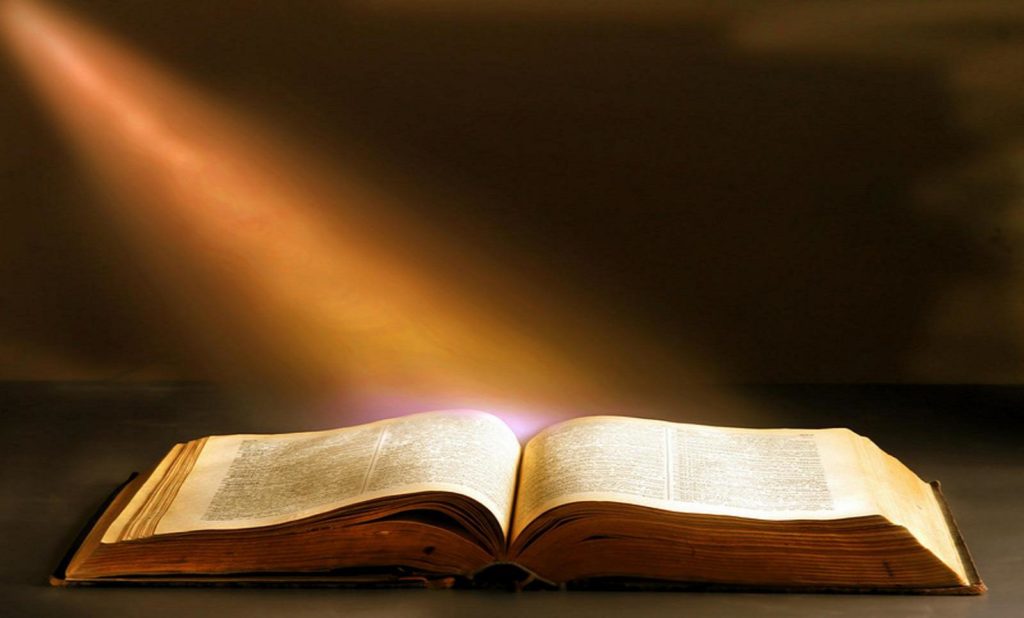 MSC Missions, Missionaries of the Sacred Heart, Scripture reflection, Gospel reflection, Fr Con O'Connell, Fr Con O'Connell MSC, Gospel reflection for the Twenty-Second Sunday in Ordinary Time
