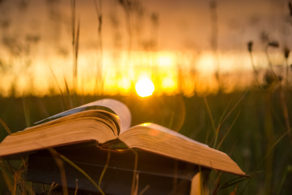 MSC Missions, Missionaries of the Sacred Heart, Scripture reflection, Gospel reflection, Fr Con O'Connell, Fr Con O'Connell MSC, Gospel reflection for the Twenty-Seventh Sunday in Ordinary Time, Mark 10:2-16