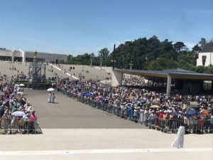 MSC Missions, Missionaries of the Sacred Heart, MSC Pilgrimages, Missionaries of the Sacred Heart Pilgrimages, pilgrimages from Ireland, 2019 pilgrimages, pilgrimages in 2019, religious pilgrimages, pilgrimage to Fatima, MSC pilgrimage to Fatima, Fatima 2019, Fr Des Farren MSC