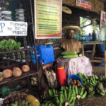 A beautiful array of their organic produce