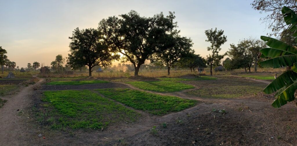 Gardens in Rumbeck