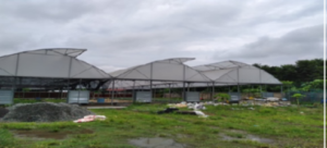 The MSC Centre for the Poor Agriculture Cooperative is working to raise funds to build three large greenhouses for organic vegetable production at the MSC Centre for the Poor Living Museum in Del Monte, Talacogon Agusan del Sur, in the Philippines.