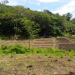 The MSC Centre for the Poor Agriculture Cooperative is working to raise funds to build three large greenhouses for organic vegetable production at the MSC Centre for the Poor Living Museum in Del Monte, Talacogon Agusan del Sur, in the Philippines.