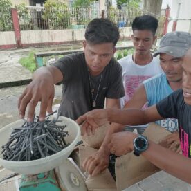 The MSC Task Force Odette are helping families whose homes were destroyed by Typhoon Odette, a devastating storm that struck in December 2021, killing over 400 people and leaving hundreds of thousands displaced from their homes. (Image via @mscmissionphil on Facebook.)