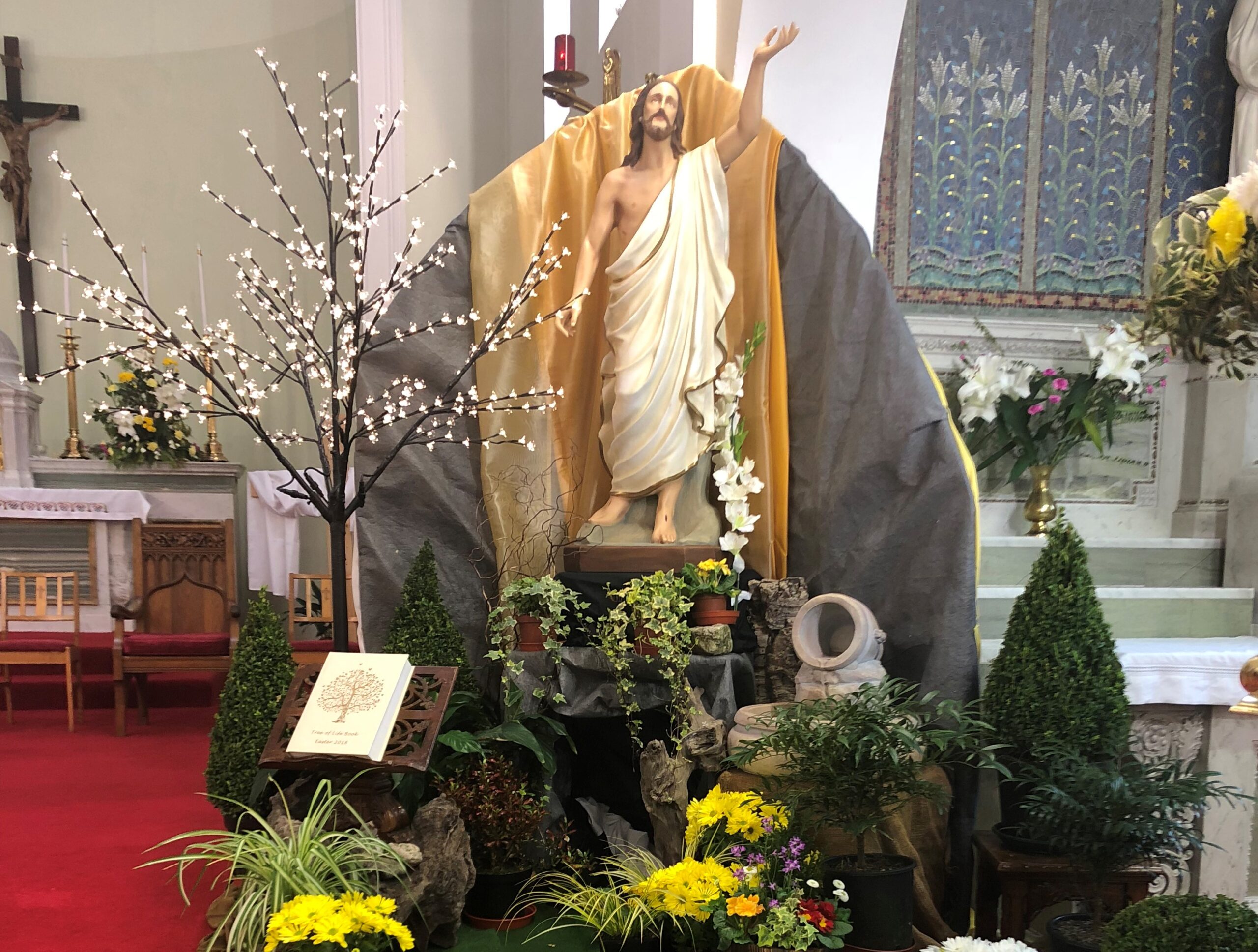The Easter Garden, including the Family Tree of Life Book, at the Sacred Heart Church on the Western Road, Cork. MSC Missions, Missionaries of the Sacred Heart, Easter & Holy Week, Easter, Holy Week, Easter Garden, Holy Thursday, Good Friday, Easter Sunday, Easter Monday, Family Tree of Life Book, Sacred Heart Church, Sacred Heart Church Cork, Sacred Heart Church Western Road Cork, Easter prayers, Easter Dawn Mass