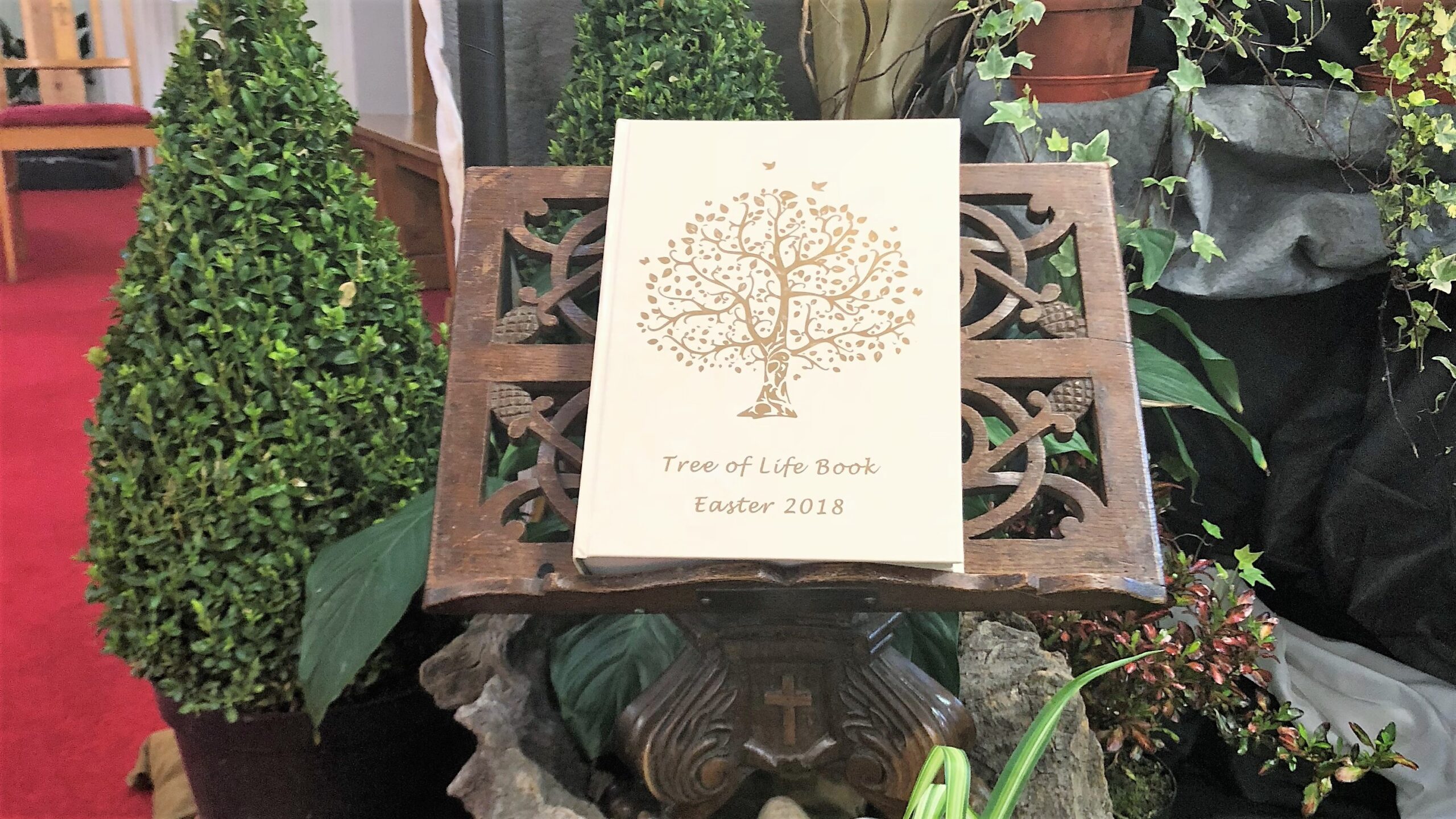 The Family Tree of Life Book on display at the Easter Garden in the Sacred Heart Church. MSC Missions, Missionaries of the Sacred Heart, Easter & Holy Week, Easter, Holy Week, Easter Garden, Holy Thursday, Good Friday, Easter Sunday, Easter Monday, Family Tree of Life Book, Sacred Heart Church, Sacred Heart Church Cork, Sacred Heart Church Western Road Cork, Easter prayers, Easter Dawn Mass