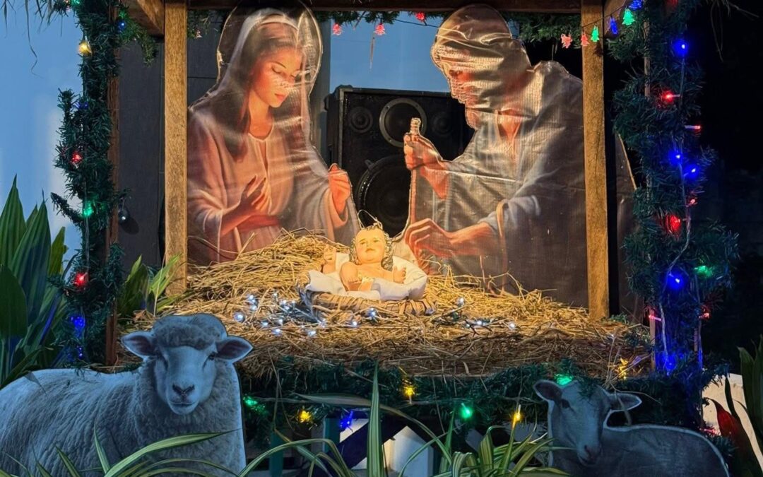 MSCs celebrating Christmas around the world