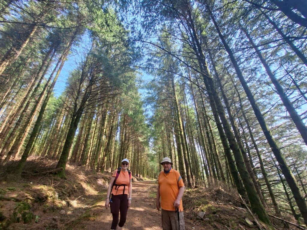 Team MSC walk St. Declan's Way - May 2026