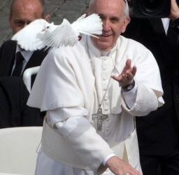 Pope Francis’ message to MSCs