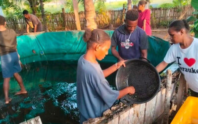 MSC World Projects 2026:Empowering young students In Indonesia