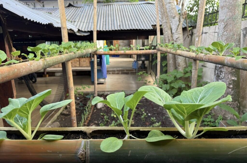 A bright new year in the Philippines for the MSC Centre for the Poor