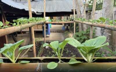 A bright new year in the Philippines for the MSC Centre for the Poor